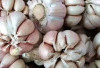 Tips Menyimpan Bawang agar Tetap Segar dan Tahan Lama, Rahasia Dapur Hemat dan Anti Boros