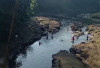 Diduga Diracun Putas oleh Oknum Tak Bertanggung Jawab, Ratusan Ikan Mendadak Mengambang di Sungai Kelingi!