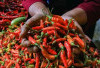 Update Harga Pangan 3 Juni 2026: Cabai Rawit Makin Seksi Tembus Rp92.250, Telur Ayam Ras Rp30.500 per Kilogram