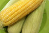 Jagung: Sarapan Pagi Nikmat yang Cocok untuk Program Diet