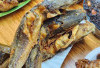 Ikan Lele: Sumber Protein Terjangkau yang Kian Populer di Tengah Masyarakat
