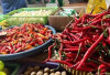  Harga Pangan 14 Juni 2025 : Bawang Merah dan Cabai Turun, Beras Premium Naik Tipis !