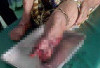 Diserang buaya kaki warga Megang Sakti Putus