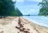 Sunset dan Kuliner Khas: Menjadi Daya Tarik Pantai di Bangka Belitung Ini!