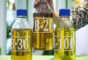 Harga Biodiesel Oktober 2024 Resmi Naik : ESDM Tetapkan Rp12.633 per Liter !