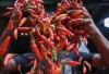Harga Pangan 20 Agustus 2025: Cabai Rawit Rp39.545, Bawang Merah Rp46.700 per Kilogram !