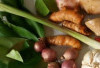 Tips Menyimpan Laos agar Tetap Segar dan Wangi, Rahasia Bumbu Dapur Tahan Lama untuk Beragam Masakan