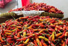 Harga Pangan 6 Juni 2025: Cabai Rawit Merah Turun Tipis Jadi Rp50.833 per Kilogram ! 