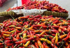 Harga Pangan 25 Juni 2025: Bawang Merah Rp42.65, Cabai Rawit Tembus Rp56.369 per Kilogram !
