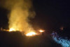 Bertambah, Dua Hektar Lahan di Ogan Ilir Kembali Terbakar
