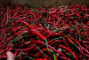 Harga Pangan 5 Agustus 2025: Cabai Rawit Rp52.904, Bawang Merah Rp47.836 per Kilogram !