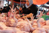 Harga Pangan 15 Mei 2025 : Bawang Merah Turun, Ayam Ras Naik Menjadi Rp35.658 per Kilogram !