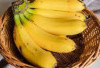 Tingkatkan Fungsi Otak dan Suasana Hati dengan Pisang