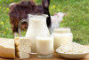 Atasi Jerawat dan Eksim dengan Susu Domba