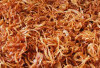 Bawang Goreng, Pelengkap Sederhana yang Mengangkat Cita Rasa Masakan